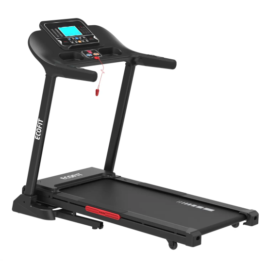 Купить Беговая дорожка  Ecofit E-T296 в Киеве - фото №1