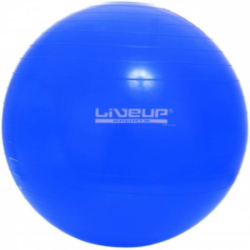Купити Фітбол  LiveUp GYM BALL 65 см blue у Києві - фото №1