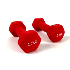 Гантель RN-Sport 2x2 кг для фитнеса FIT2KGХ2RED